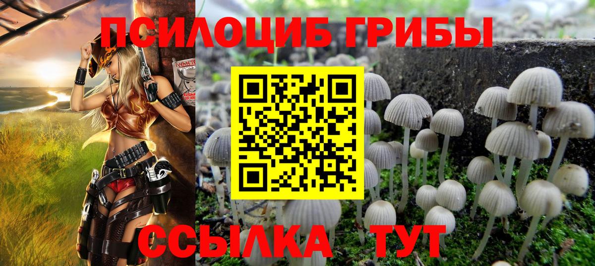 Галлюциногенные грибы ЛСД Ноябрьск